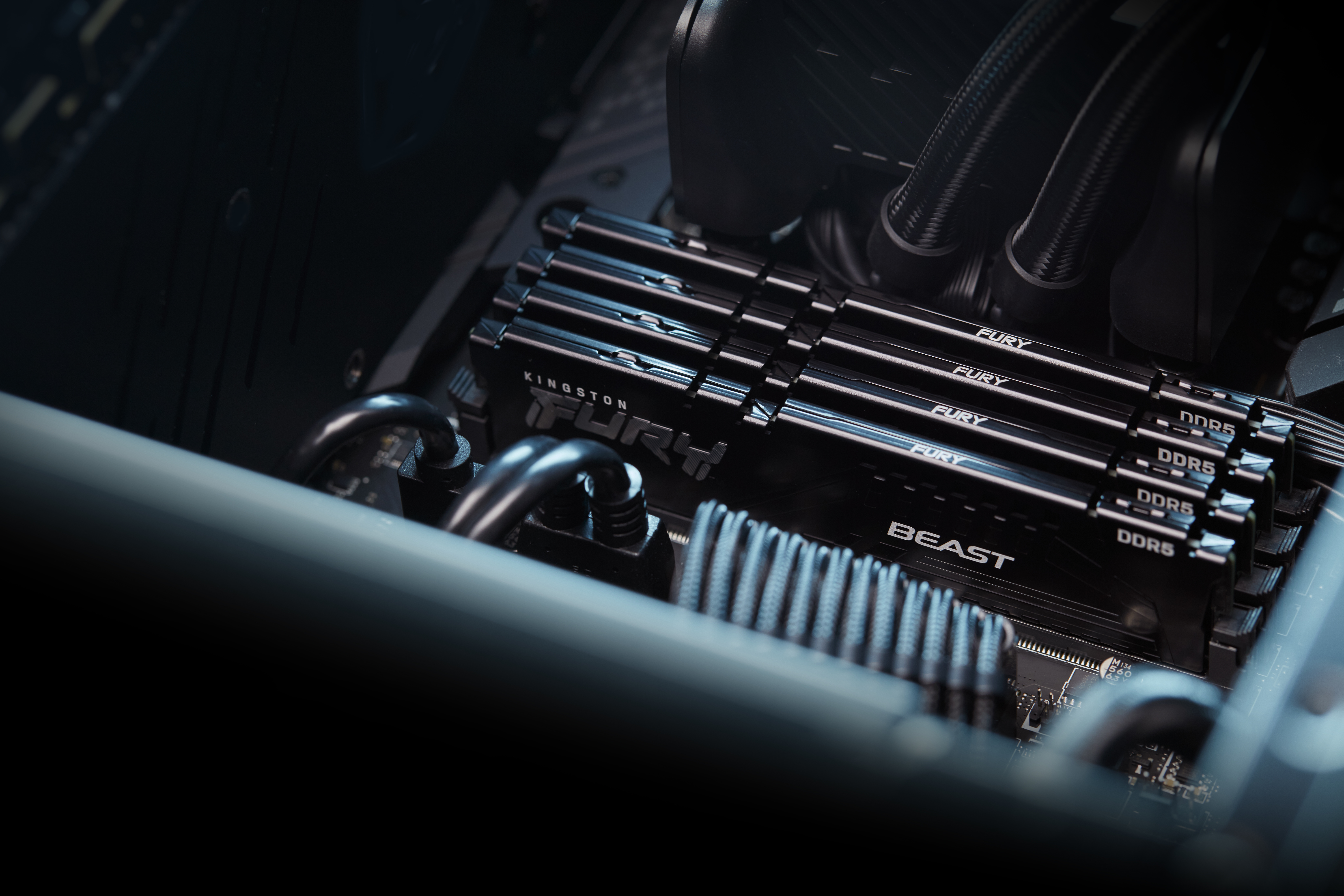 Kingston Fury Beast KF556C40BB-32 - 32GB - DDR5 - 5600MHz - INTEL