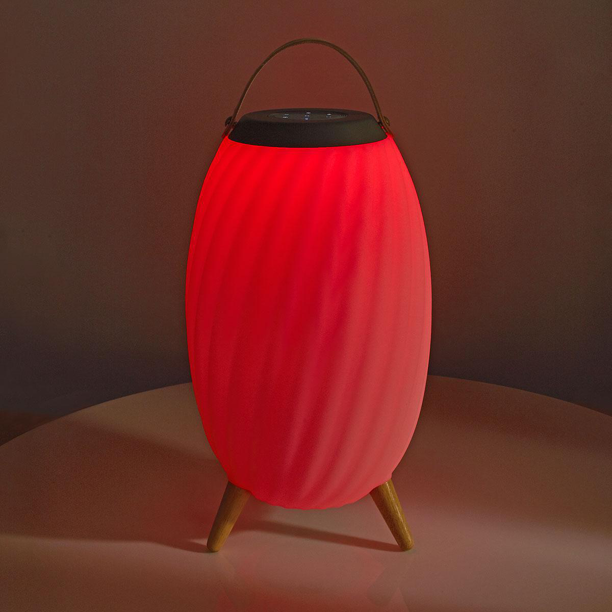 Nedis Speaker