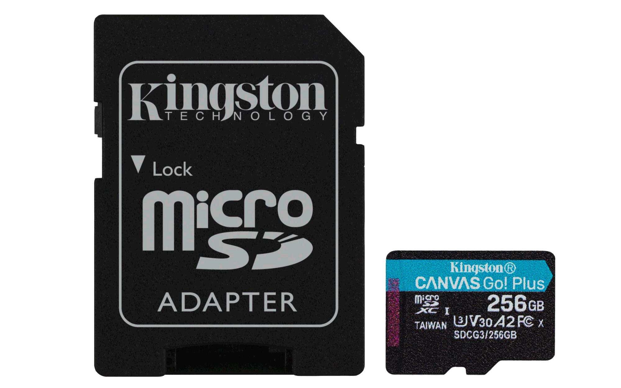 Kingston Canvas Go! Plus 256 GB