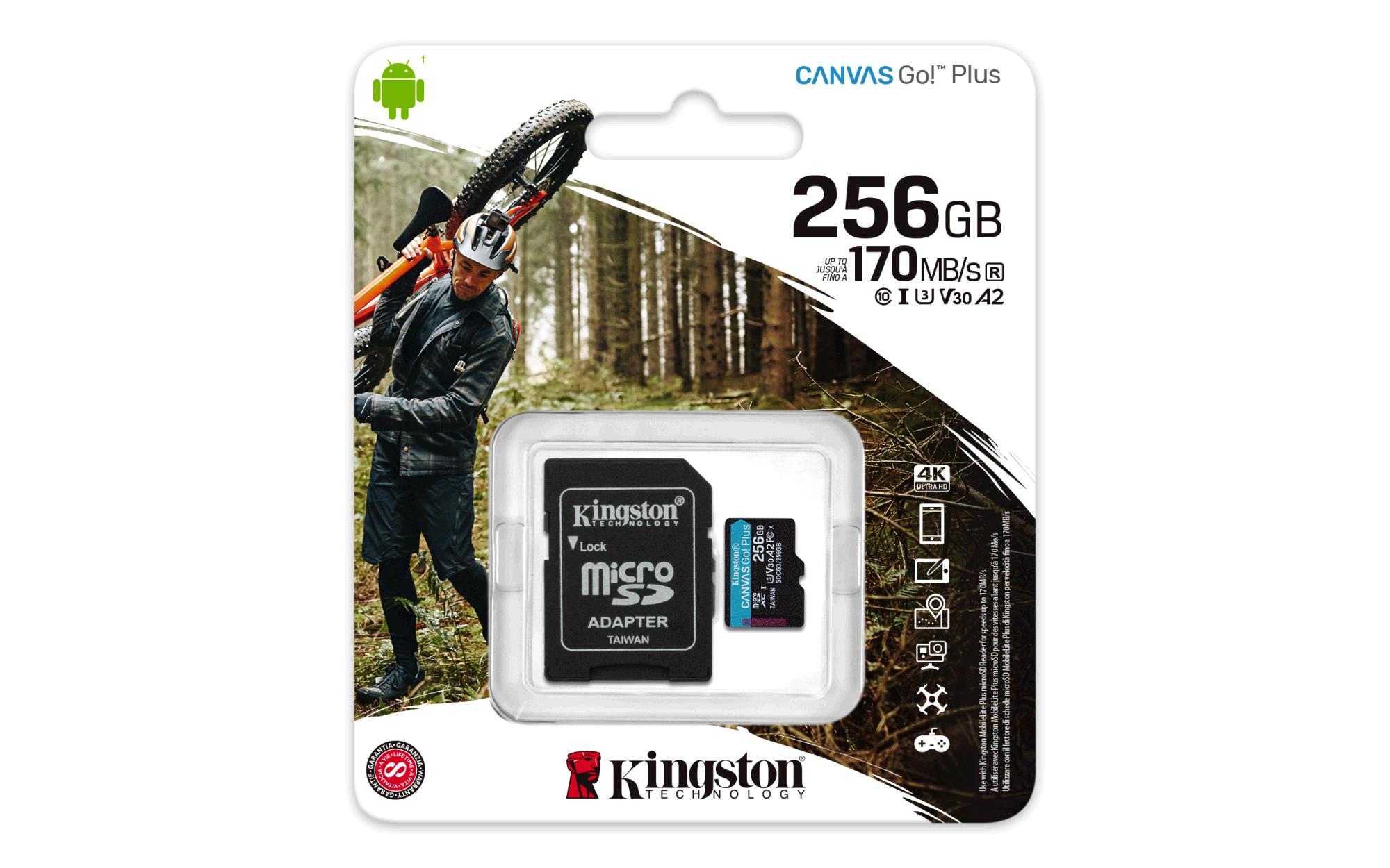 Kingston Canvas Go! Plus 256 GB