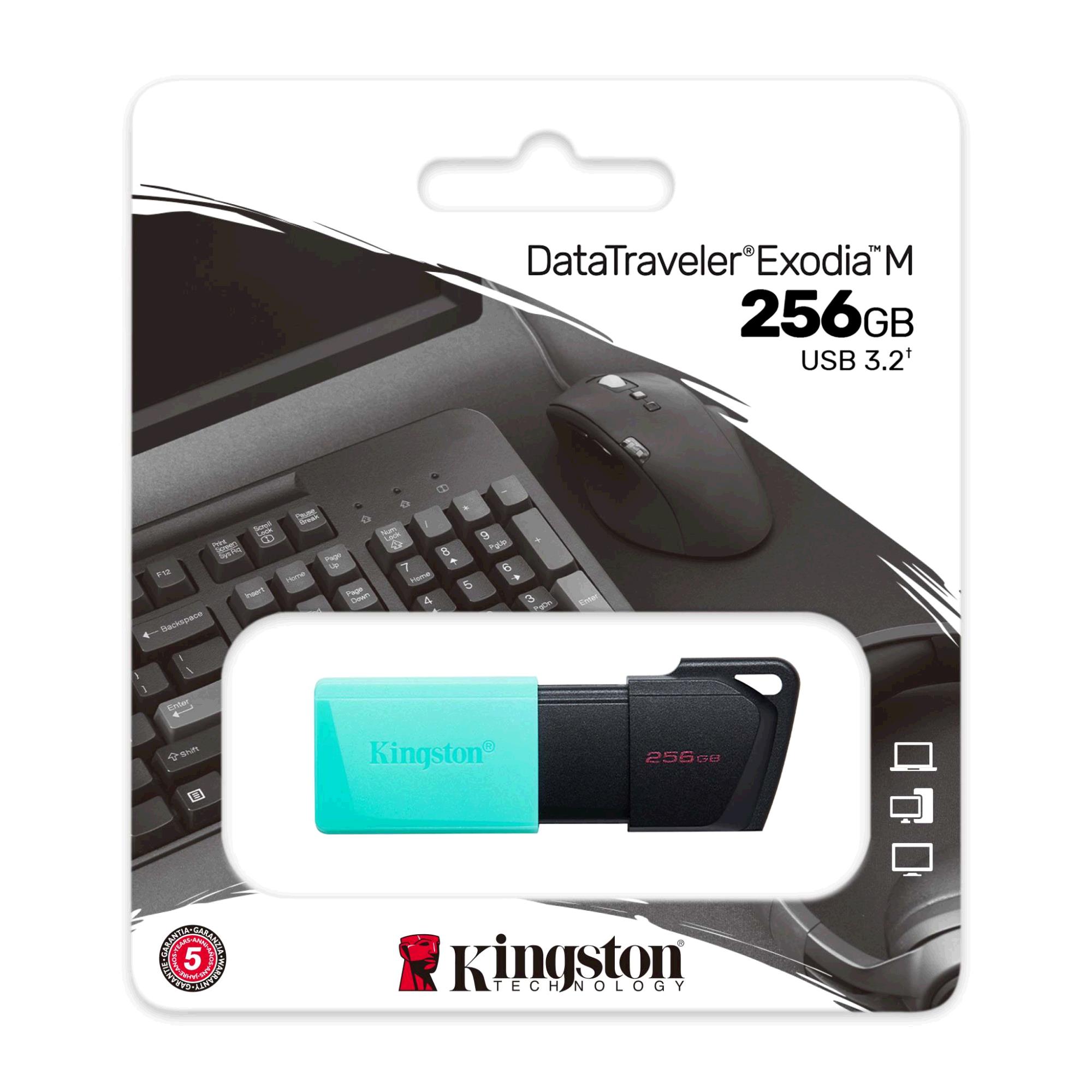 Kingston DataTraveler Exodia M 256GB