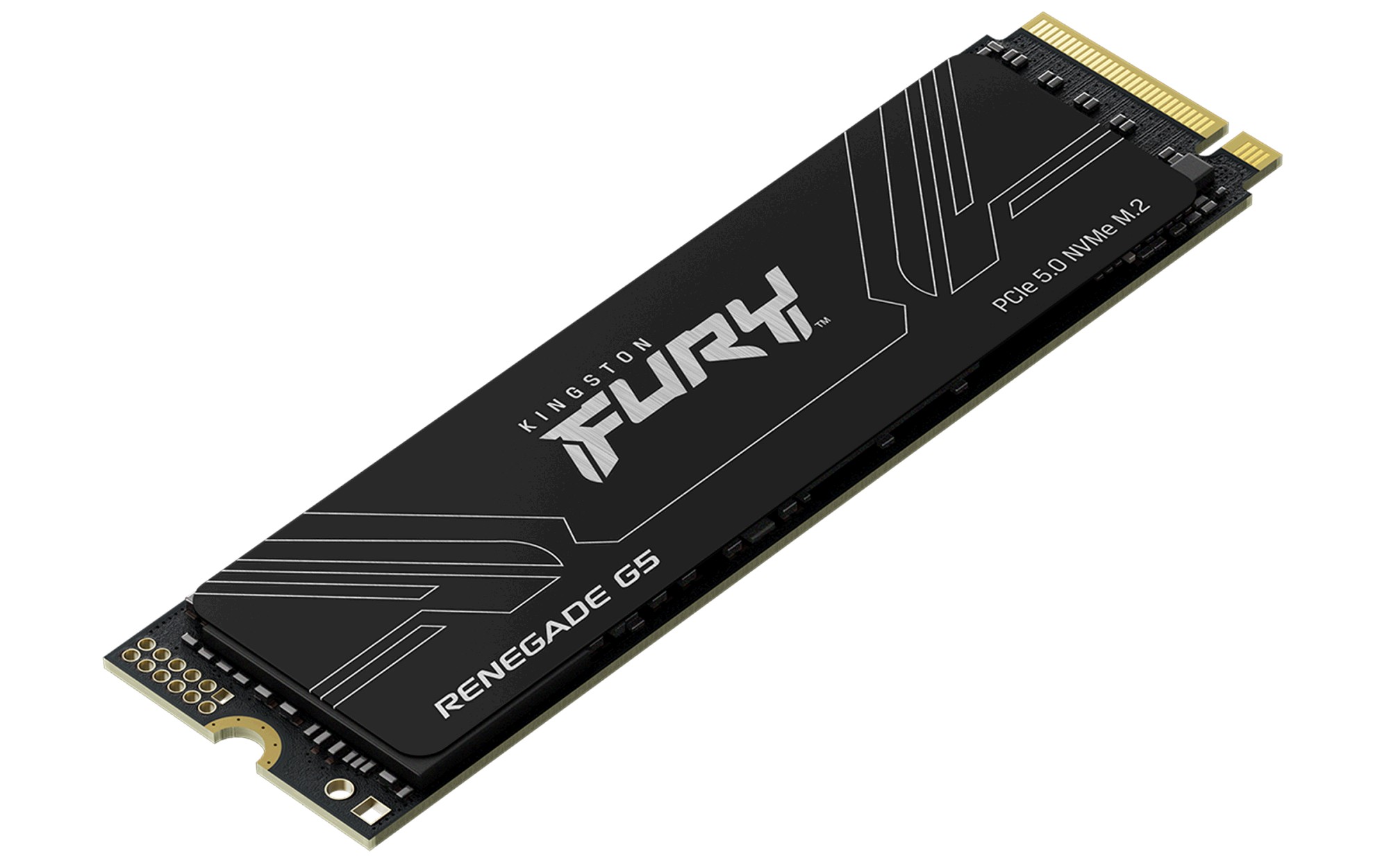 Kingston FURY Renegade G5 1TB