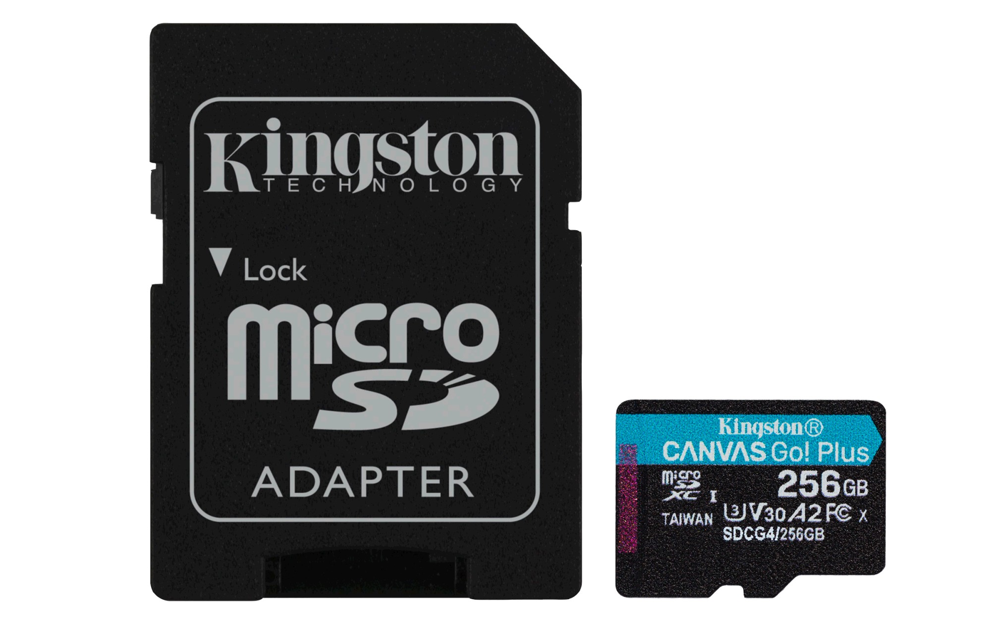 Kingston Flash Canvas Go! Plus 256 GB (gen4)