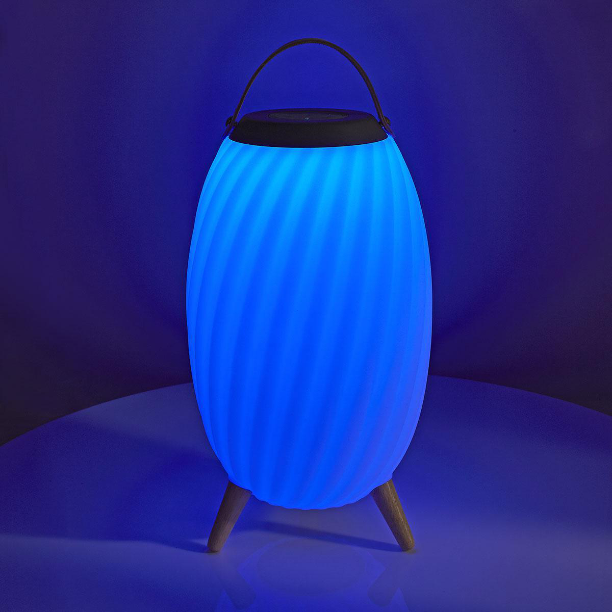 Nedis Speaker