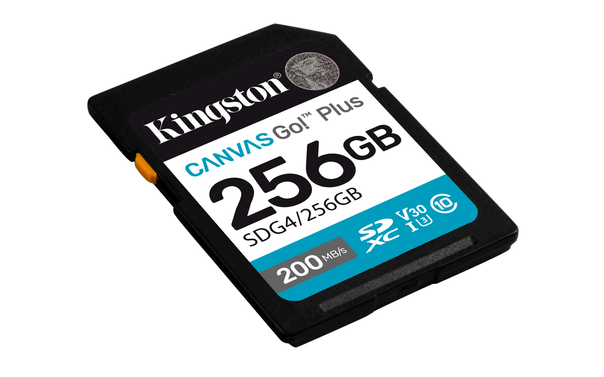 Kingston Flash Canvas Go! Plus 256GB SDXC