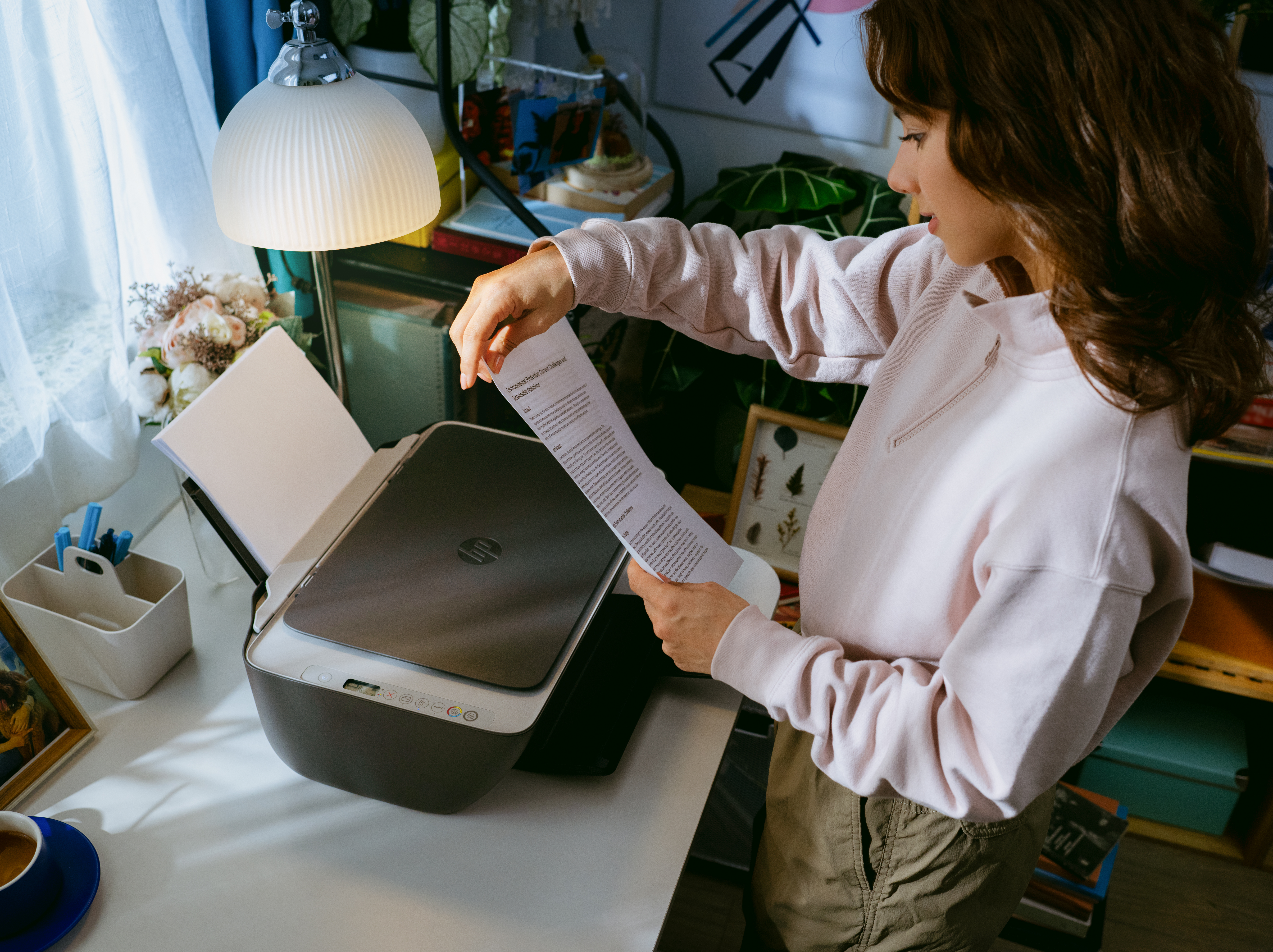HP DeskJet 2920 All-in-One Printer - WiFi