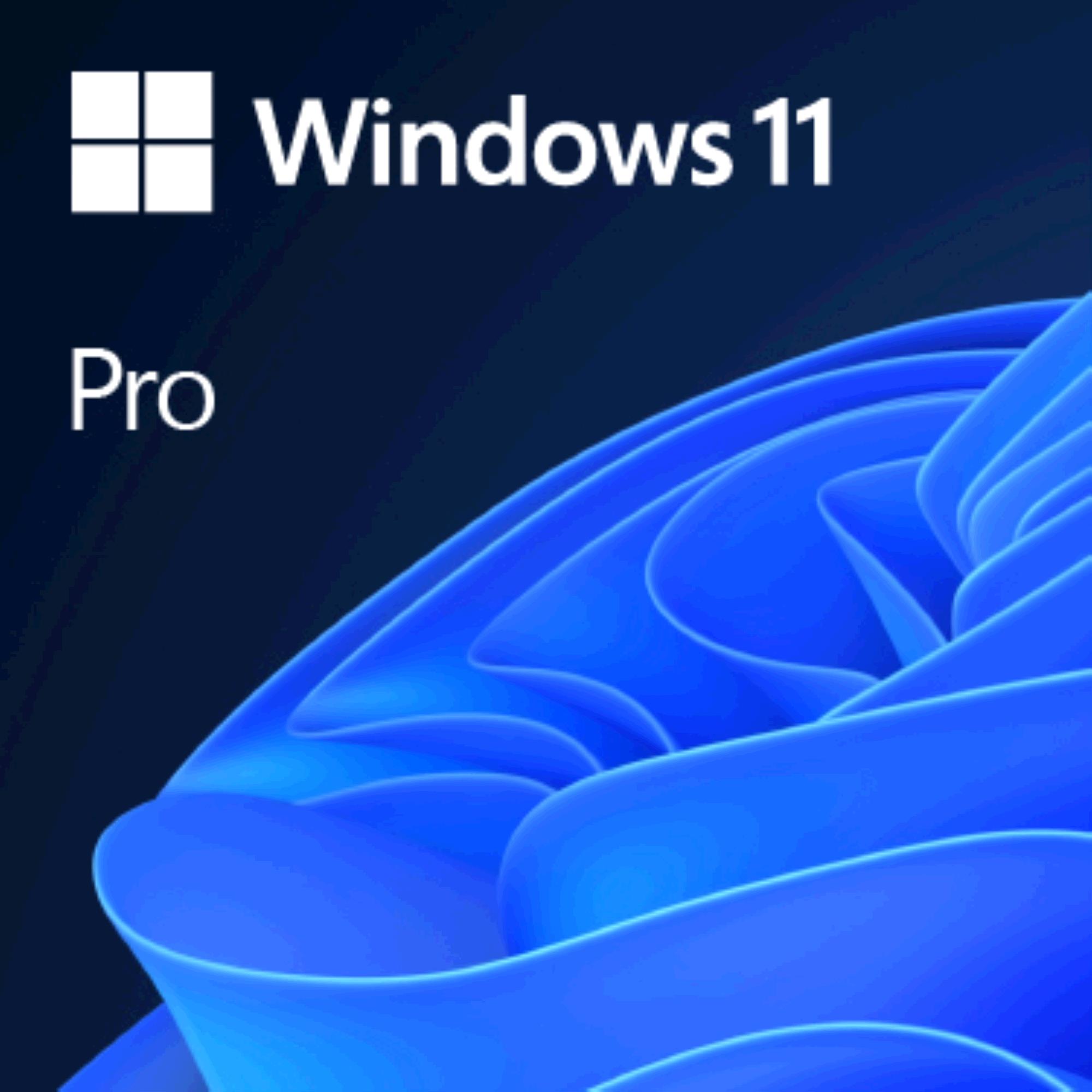 Microsoft Windows 11 Pro 64-bit, NL, OEM