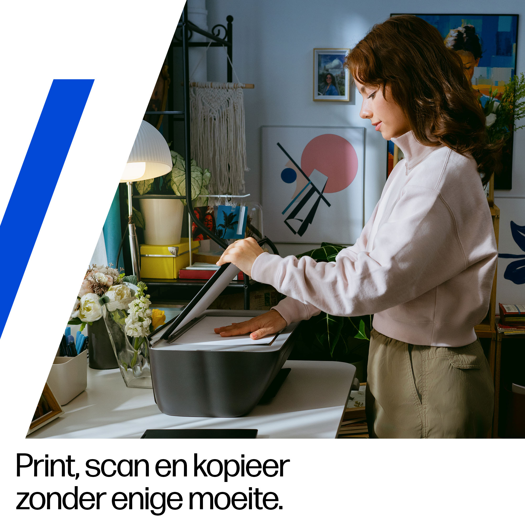 HP DeskJet 2920 All-in-One Printer - WiFi