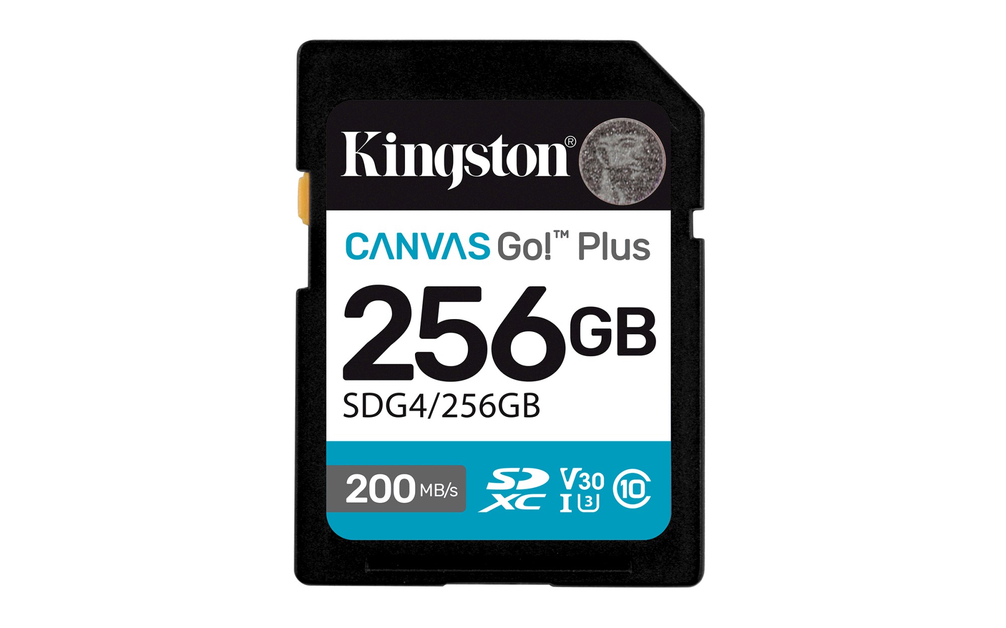 Kingston Flash Canvas Go! Plus 256GB SDXC